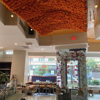Oyamel - View from the bar - Mexican Near Me - Washington, DC, District of Columbia
