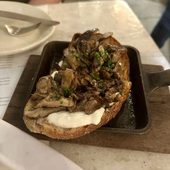 On Swann - Mushrooms - Bars Near Me - Tampa, Florida On Swann - Mushrooms - Bars Near Me - Tampa, Florida
