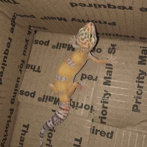 BHC Corals - Reef Oasis - Request Information - Pet Stores - 535 SW 4th