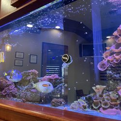 Green Valley Dentistry - Very nice fish tank in the waiting area.