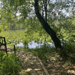 Sandy Creek Nature Center Ensat