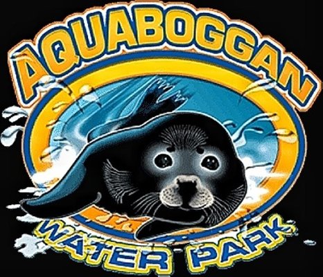 Aquaboggan Water Park by null