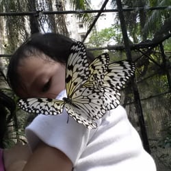 Kinder Zoo Adventure Jungle
