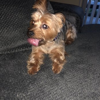 PetSmart - Pet Stores Near Me - Austin, Texas