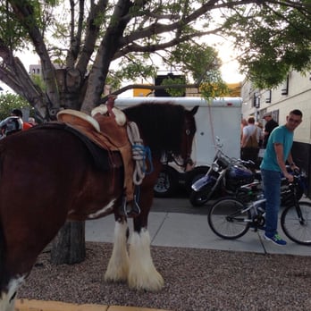 Marble Brewery - Yup. A horse. - Breweries Near Me - Albuquerque, New Mexico