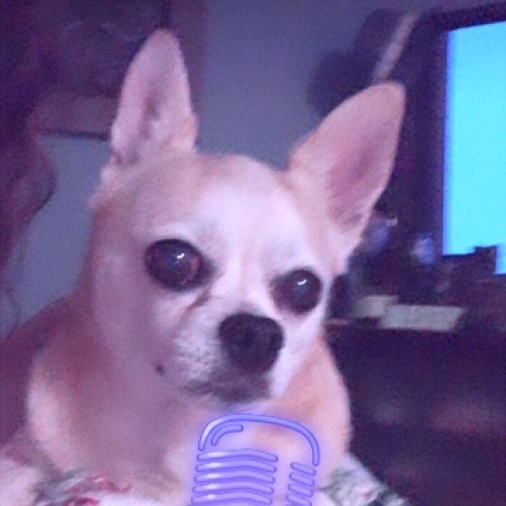 Peanut Peanut