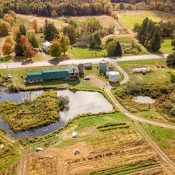 Little Salmon Farm