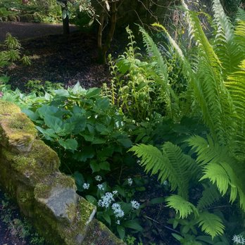 Durham University Botanic Garden - Parks Near Me - Durham, DUR