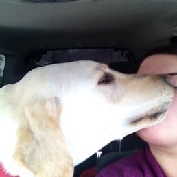 He's so excited to be at the park I can't drive!