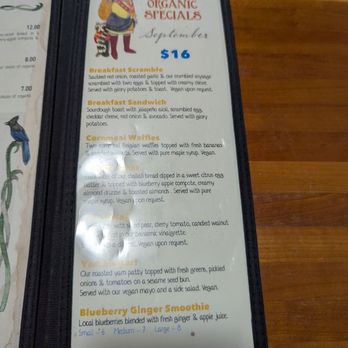 Morning Glory Café - September 2025 organic specials. - Vegetarian Near Me - Eugene, Oregon