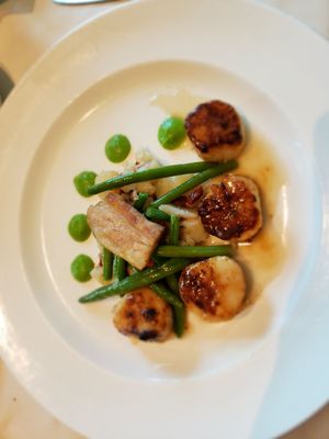 Princess Cruises by null