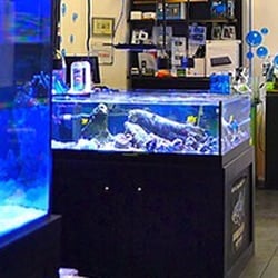 Reef Valley - Aquariums