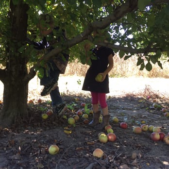 Hidden Valley Orchards - Pick Your Own Farms Near Me - Lebanon, Ohio