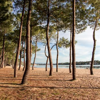 Les Acanthes - Hotels Near Me - Hossegor, 40 Les Acanthes - Hotels Near Me - Hossegor, 40