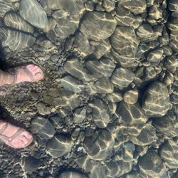 Bogachiel State Park - Clear water in the river