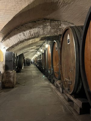 Cave Historique des Hospices de Strasbourg by null