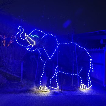 Indianapolis Zoo - Lights - Zoos Near Me - Indianapolis, Indiana Indianapolis Zoo - Lights - Zoos Near Me - Indianapolis, Indiana
