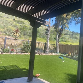 Master Tree Services - Before - Tree Services Near Me Master Tree Services - Before - Tree Services Near Me