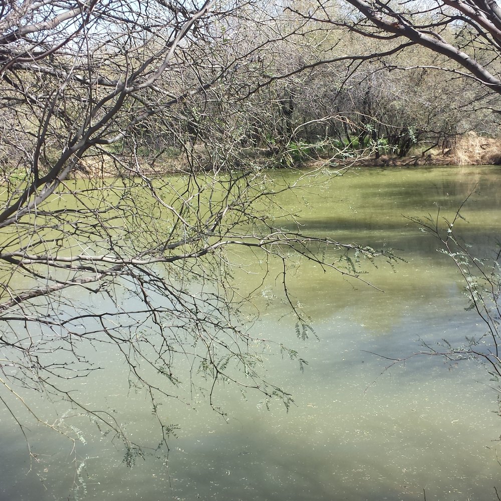 Hidden lake (vandals not pictured)