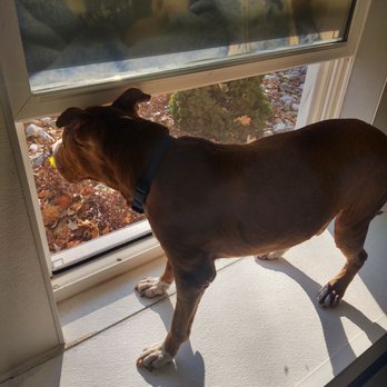 Brandywine Valley SPCA - Animal Shelters Near Me - Dover, Delaware