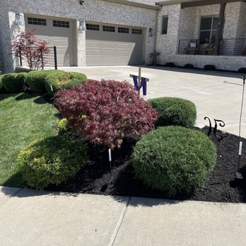 Vargas Landscaping - Pruning, weed maintenance, Mulching - Landscaping Near Me Vargas Landscaping - Pruning, weed maintenance, Mulching - Landscaping Near Me