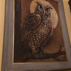 El Tecolote - Owls for days!