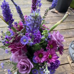 Arrangement two weeks later Arrangement two weeks later