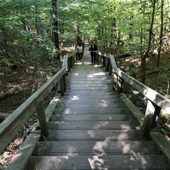 Bloomer Park - Stairs - Parks Near Me - Rochester Hills, Michigan
