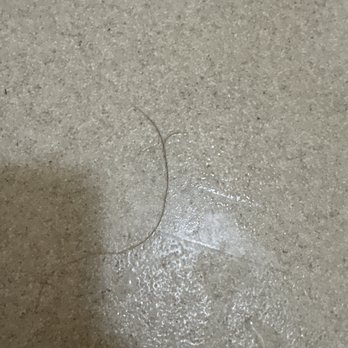 Sleep Inn & Suites - Hair everywhere in the bathroom. - Hotels Near Me - Oakley, Kansas Sleep Inn & Suites - Hair everywhere in the bathroom. - Hotels Near Me - Oakley, Kansas