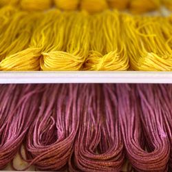 Pasta Mami - Top: Saffron Spaghetti Bottom: Beet Spaghetti
