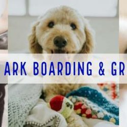 Noah’s Ark Boarding - Noah's Ark Boarding & Grooming