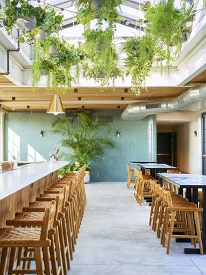 The Roof at the Rockaway by null