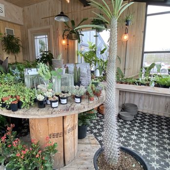 Found Things - Nurseries & Gardening Near Me - Syracuse, New York