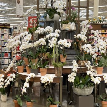 Safeway - Flowers - Grocery Near Me - Elk Grove, California Safeway - Flowers - Grocery Near Me - Elk Grove, California