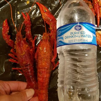 Ellis Seafood - Swoll crawfish lol - Seafood Near Me - Jackson, Mississippi Ellis Seafood - Swoll crawfish lol - Seafood Near Me - Jackson, Mississippi