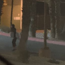 Crazy homeless Crazy homeless