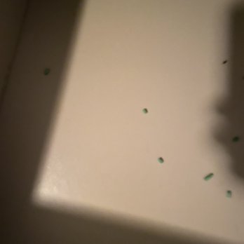 Public Storage - Mouse droppings and poison inside plastic wrapped dresser - Self Storage Near Me - Denver, Colorado Public Storage - Mouse droppings and poison inside plastic wrapped dresser - Self Storage Near Me - Denver, Colorado