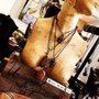 Donna Casey Holistic Wellness & Therapeutic Art