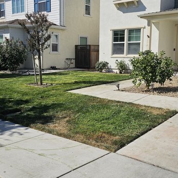 Terriquez Landscaping - After - Landscaping Near Me - Lathrop, California Terriquez Landscaping - After - Landscaping Near Me - Lathrop, California