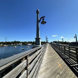 Police Cove Park - Summer day