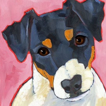 Pet Escorts - Pet Sitting Near Me Pet Escorts - Pet Sitting Near Me