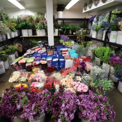 South Coast Wholesale Flowers