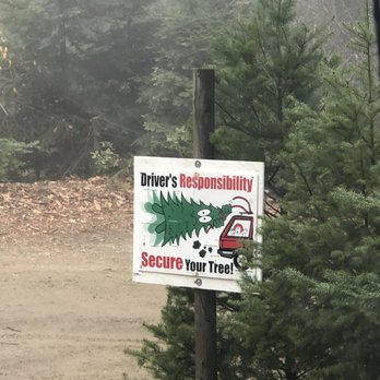 JS Tabacco Ranch - Drive slow, people crossing - Christmas Trees Near Me - Los Gatos, California JS Tabacco Ranch - Drive slow, people crossing - Christmas Trees Near Me - Los Gatos, California