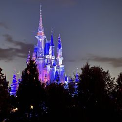 Castle Connections