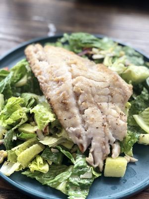 Seabright Social by null