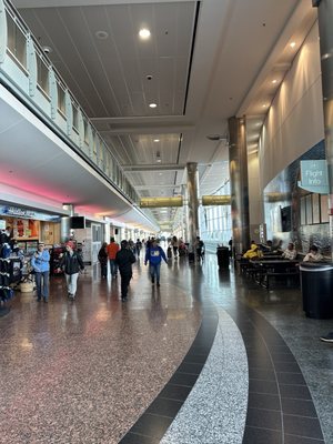 Ted Stevens Anchorage International Airport by null