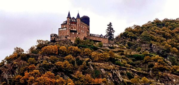 Rheinfels Castle by null