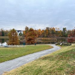 Centennial Park