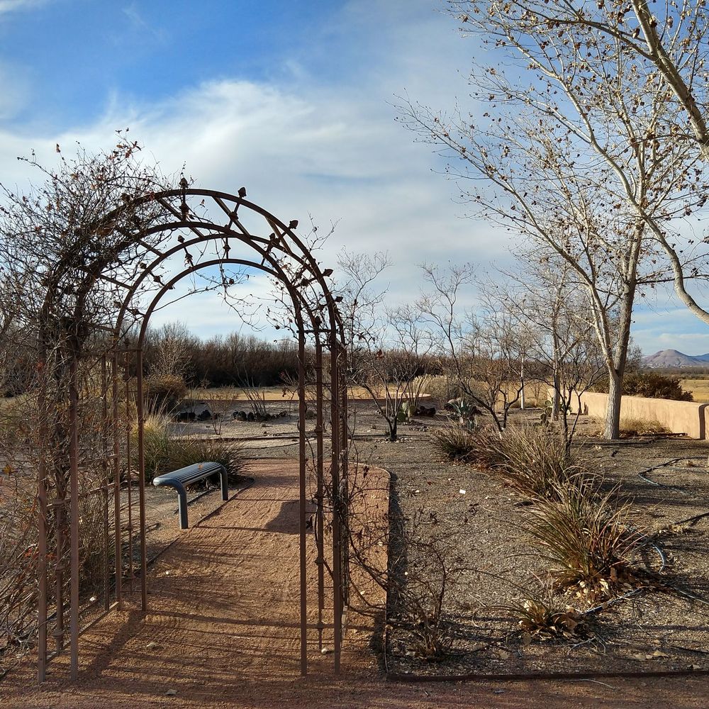 Mesilla Valley Bosque State Park - Garden - Parks Near Me - Las Cruces, New Mexico Mesilla Valley Bosque State Park - Garden - Parks Near Me - Las Cruces, New Mexico