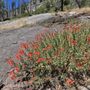 Photo of Horsetail Falls Hike